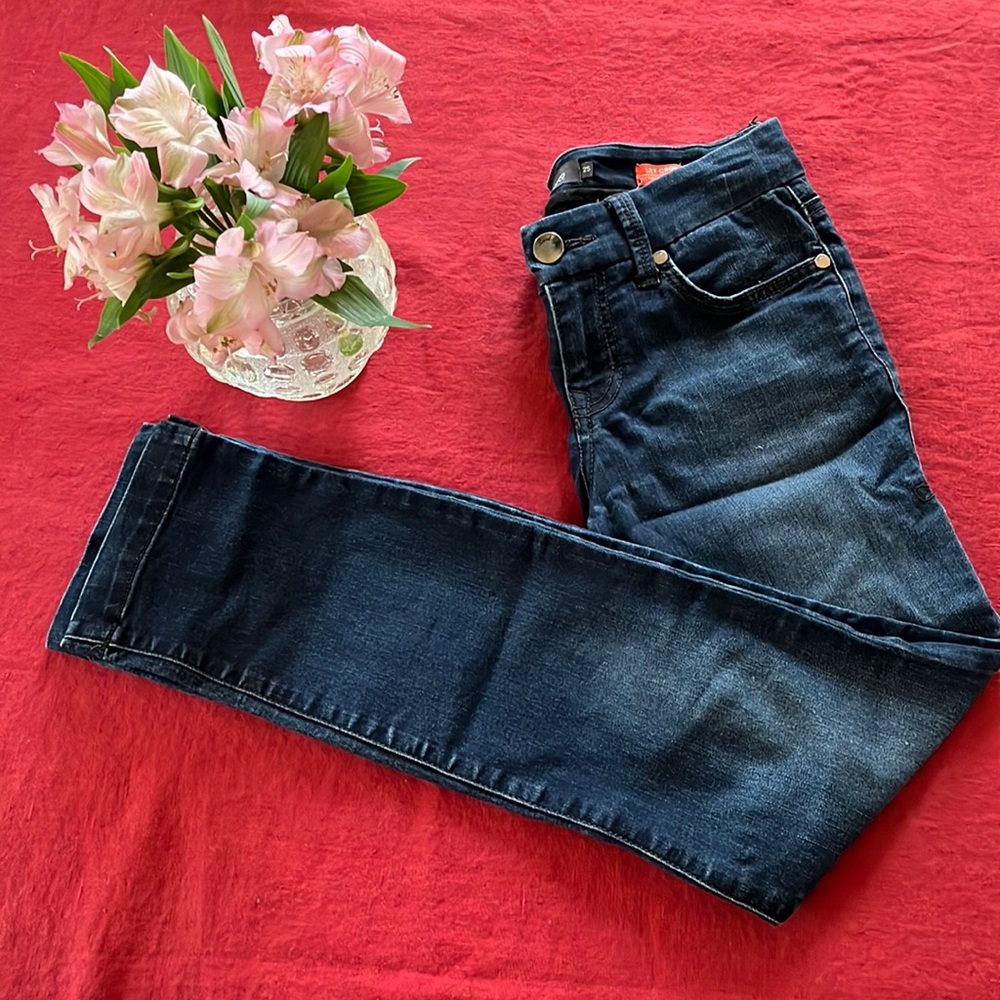 Level 99 Lily Crop Skinny Straight Jeans